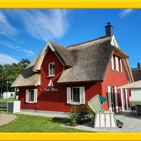Modernes Reetdach-Ostseeferienhaus Bella Mare, Insel Usedom Mit Sauna, Kamin & Sonnenterrasse Zirchow Exteriör bild
