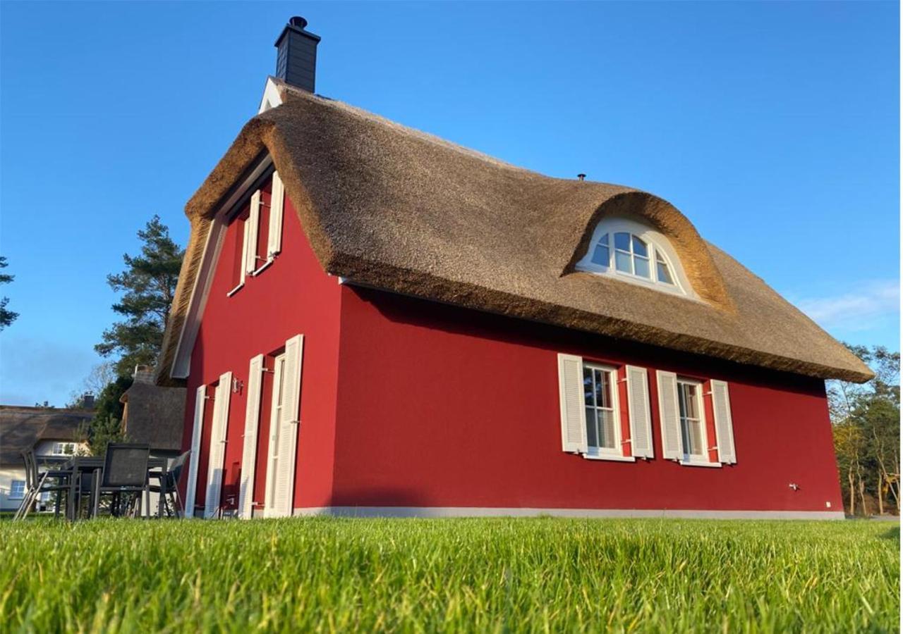 Modernes Reetdach-Ostseeferienhaus Bella Mare, Insel Usedom Mit Sauna, Kamin & Sonnenterrasse Zirchow Exteriör bild