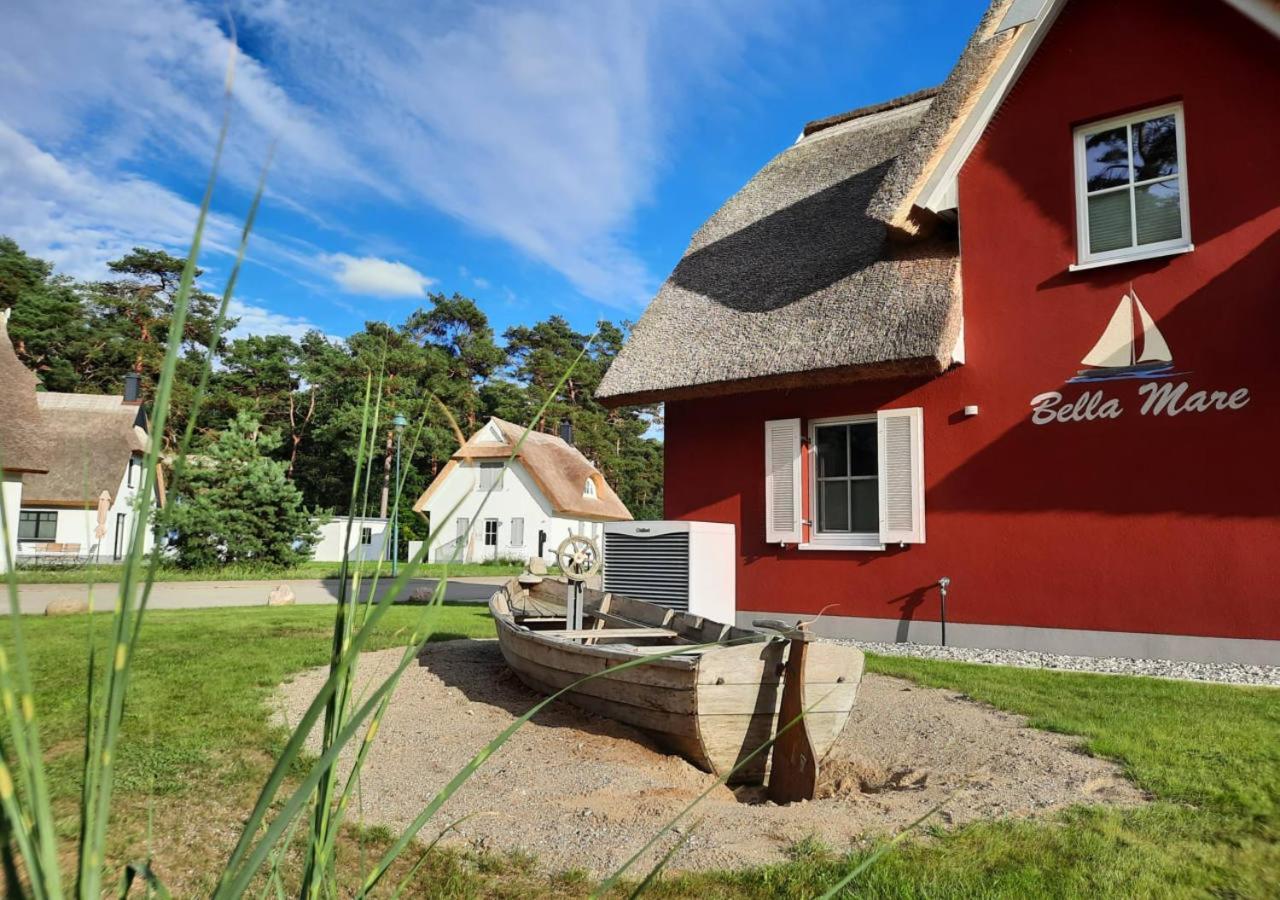 Modernes Reetdach-Ostseeferienhaus Bella Mare, Insel Usedom Mit Sauna, Kamin & Sonnenterrasse Zirchow Exteriör bild