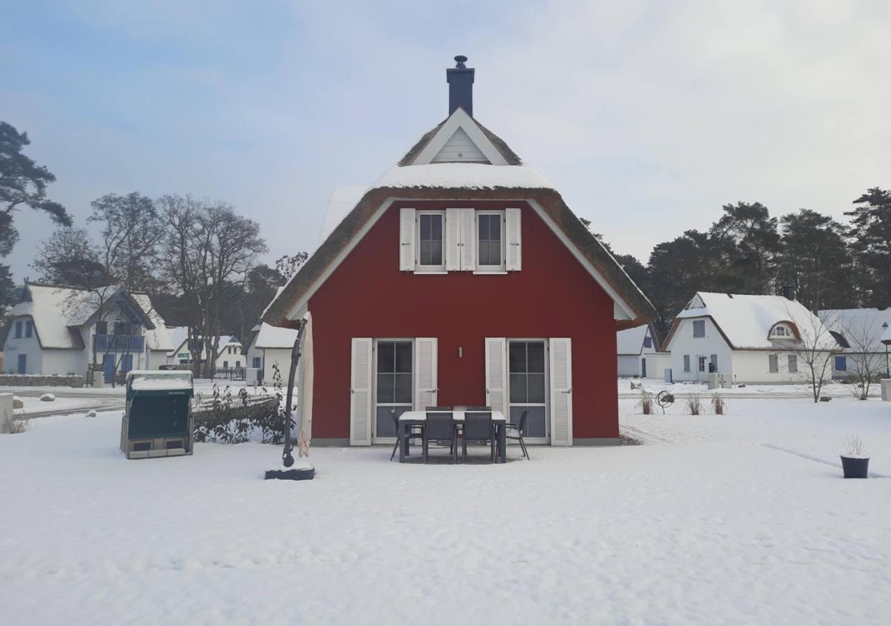 Modernes Reetdach-Ostseeferienhaus Bella Mare, Insel Usedom Mit Sauna, Kamin & Sonnenterrasse Zirchow Exteriör bild