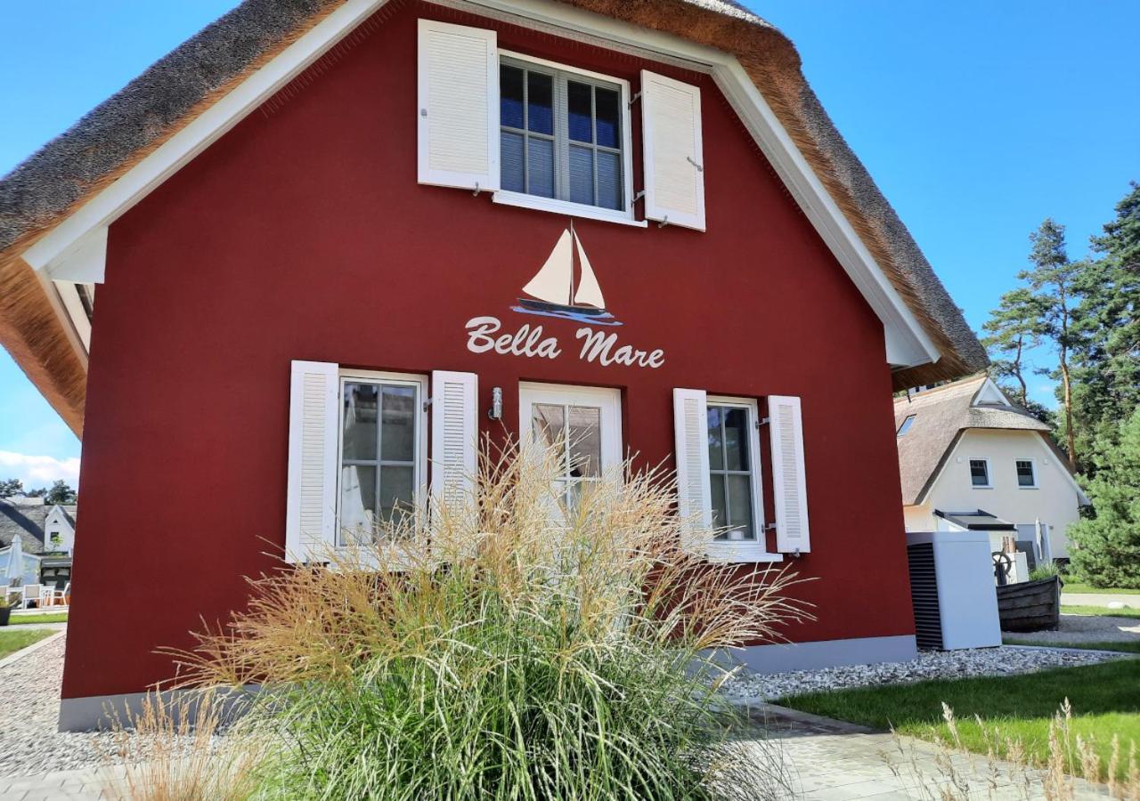 Modernes Reetdach-Ostseeferienhaus Bella Mare, Insel Usedom Mit Sauna, Kamin & Sonnenterrasse Zirchow Exteriör bild